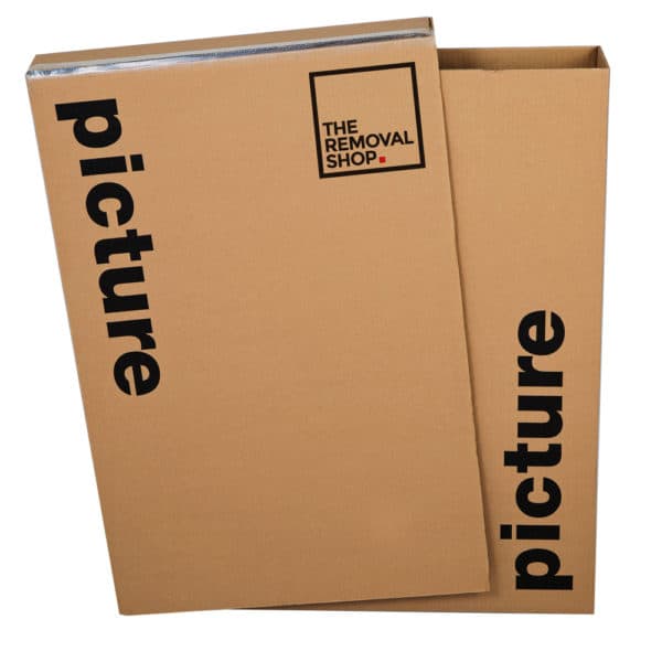 Picture carton moving box